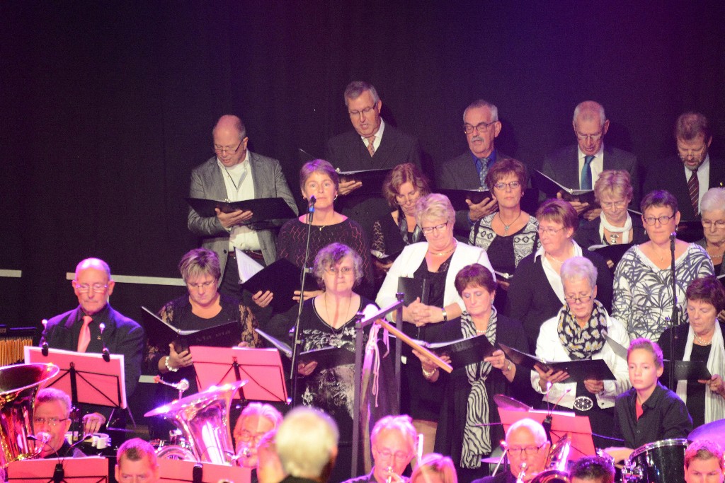 ../Images/Jubileumconcert 100 jaar Harpe Davids 106.jpg